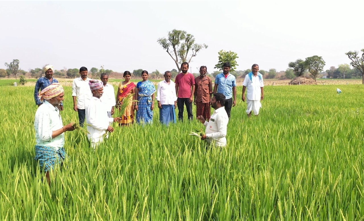 Ecozuna Organic Farmers Co Op Society