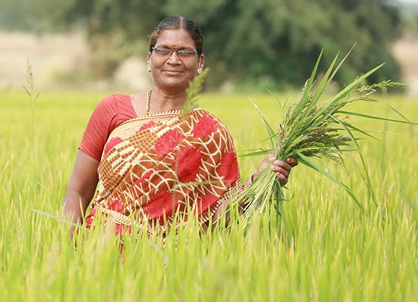 200 new farmers adopt organic farming in 200 acres, the project expanded to three new villages