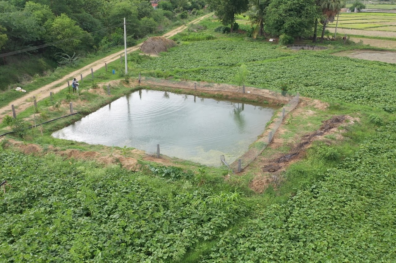 Farmers Improve Livelihood Opportunites Through Farm Pond Excavation Activities